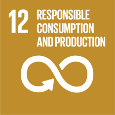 SDG 12